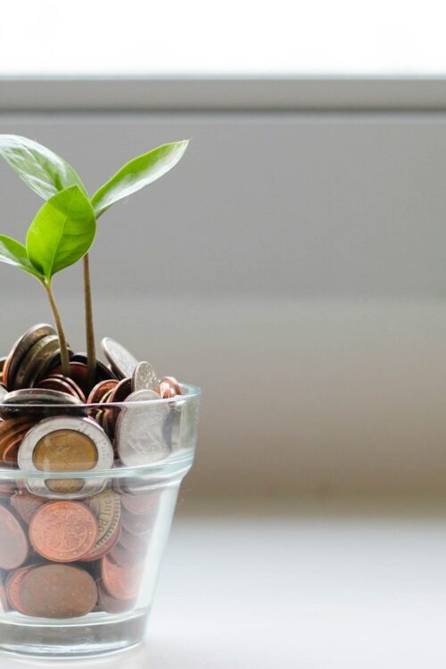The Power of Parent Donations for Your School Auction